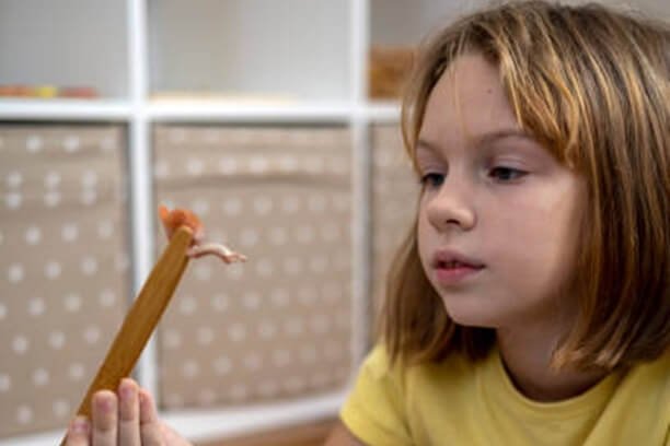 Certified Audiologist Consultation